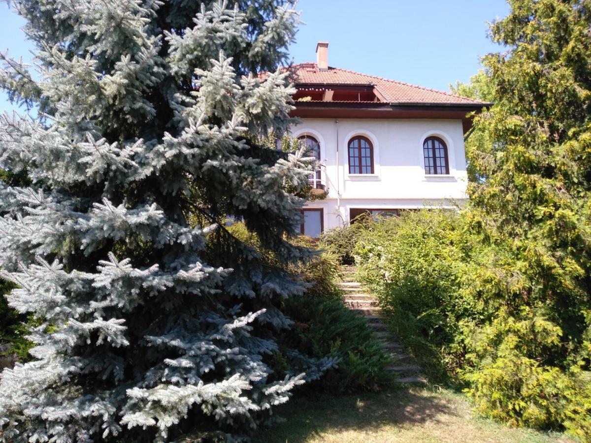 Hotel Co-Housing Community Budakalász Exterior foto